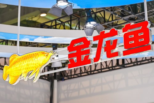 計(jì)算機(jī)軟件技術(shù)開發(fā) 驅(qū)動(dòng)產(chǎn)業(yè)變革與創(chuàng)新的核心引擎